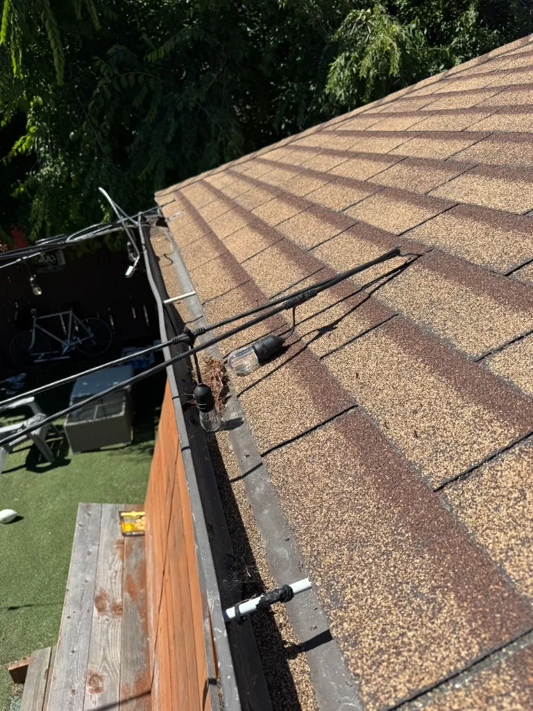 Asphalt shingle roof edge above a gutter with string light cables and light sockets attached directly to the roof edge, and nest debris in the gutter